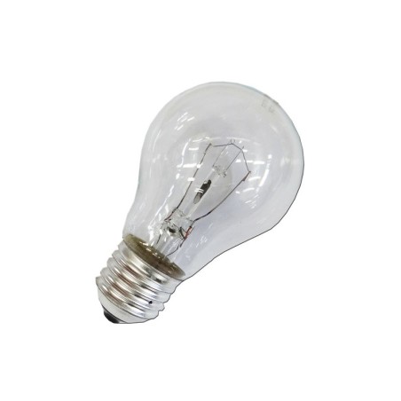 Lâmpada Standard Incandescente Transparente E27 100W 220/240V